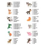 APLI Kids Магнитна игра, Аз уча английски език - Image 4