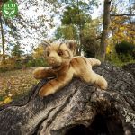 Плюшена кафява котка, 30 см, Rappa - Image 5