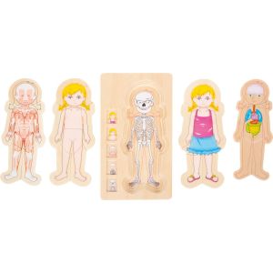 Small Foot Многослоен пъзел, Анатомията на момиче