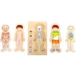 Small Foot Многослоен пъзел, Анатомията на момче