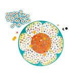 Scratch Детска игра, Търсене на буболечки и насекоми - Image 8