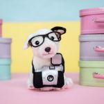 Studio Pets Плюшено куче Бултериер с куфарче и паспорт, Чарли 23 см - Image 3