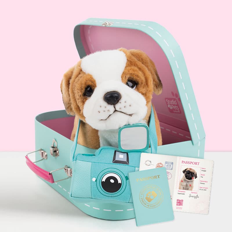 6208-plusheno-kuche-angliiski-buldog-s-kufarche-studio-pets Плюшено куче Английски булдог, Звезда - Комплект