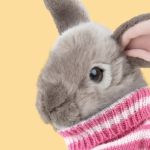 Studio Pets Плюшено зайче с пуловер Бъни, 23 см - Image 2