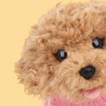 Studio Pets Плюшено куче Пудел Бисквитка - Комплект с куфарче, 23 см - Image 5