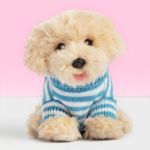 Studio Pets Плюшено куче лабрадор с дрешка, Драскулка