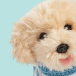 Studio Pets Плюшено куче Лабрадор Драскукла - Комплект с куфарче, 23 см - Image 7