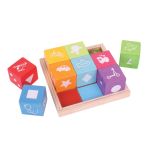 BIGJIGS Дървени цветни кубчета