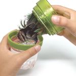 DinosArt Светещи водни глобуси, Динозавър - Image 3