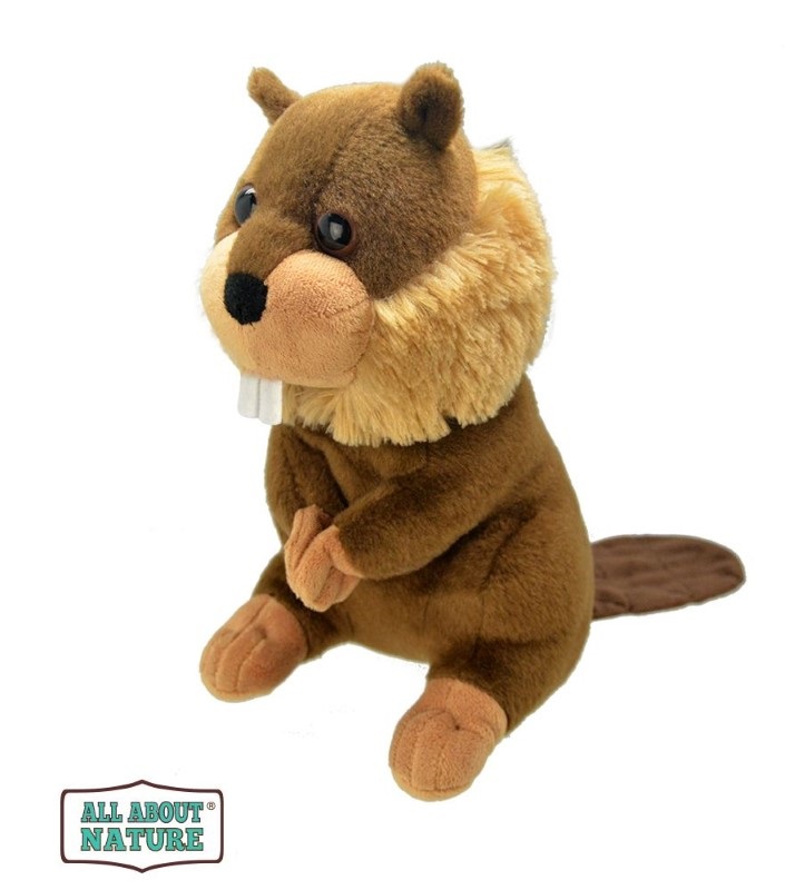 K8567-plushena-igrachka-bobyr-wild-planet Плюшен бобър Wild Planet