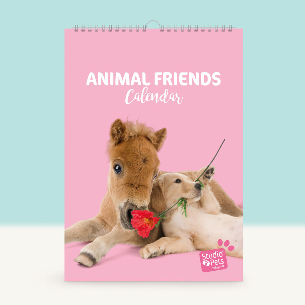kalendar-planer-s-konche-i-kuche-studio-pets-6730-1 Календар-планер с животни, Приятели - Studio Pets 1