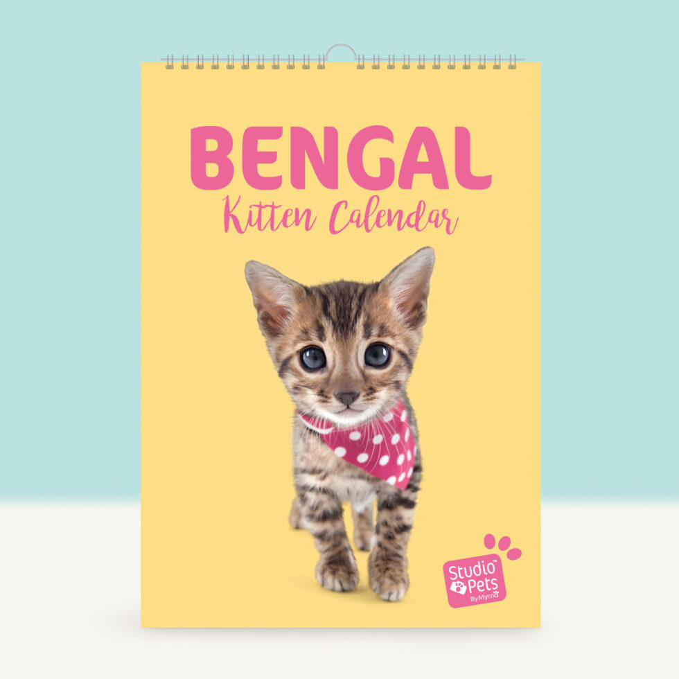 kalendar-planer-s-kote-bengal-studio-pets-6735-1 Studio Pets Календар-планер с Бенгалски котенца 1