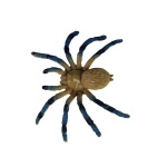 Комплект с фигури Паяци, Rappa - Image 3