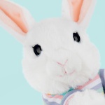 Studio Pets Плюшено зайче с цветна блузка БунБун, 16 см 2