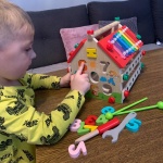 Дървена къща с активни занимания 2