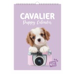 Studio Pets Календар-планер с кученца, Кавалер Кингс Чарлз шпаньол 4